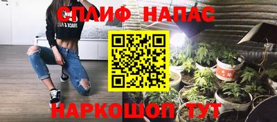 PSILOCYBIN Можга