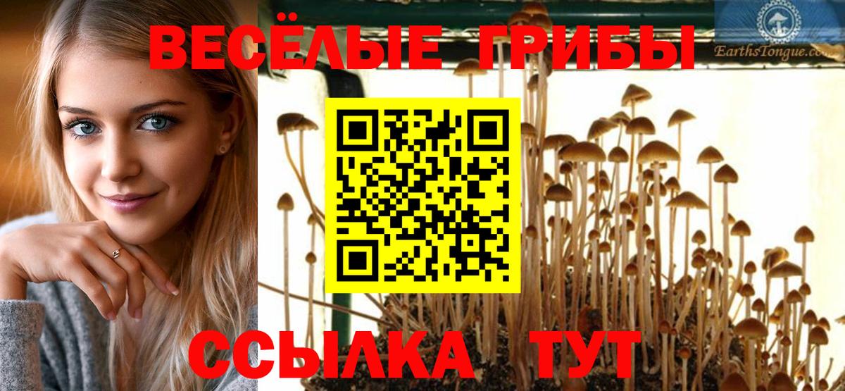 Стрежевой  Галлюциногенные грибы ЛСД  Вход с VPN 